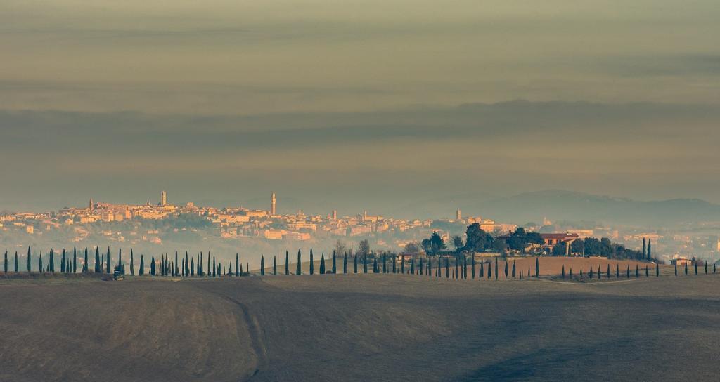 Agriturismo Colombino Сиена Экстерьер фото